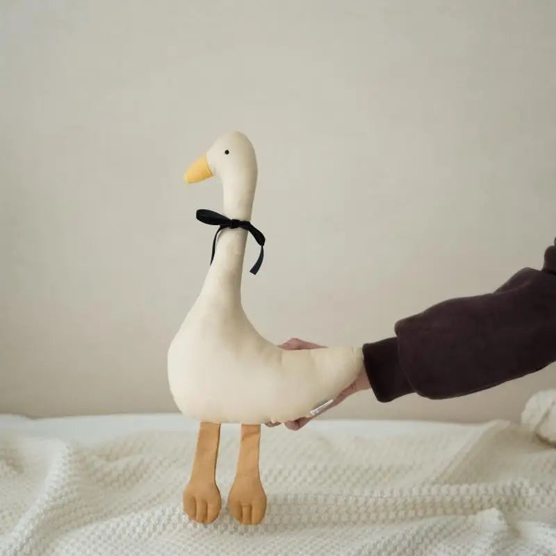 Peluche